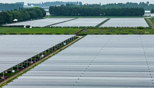技术开发支持中的场景问题分析与处理流程